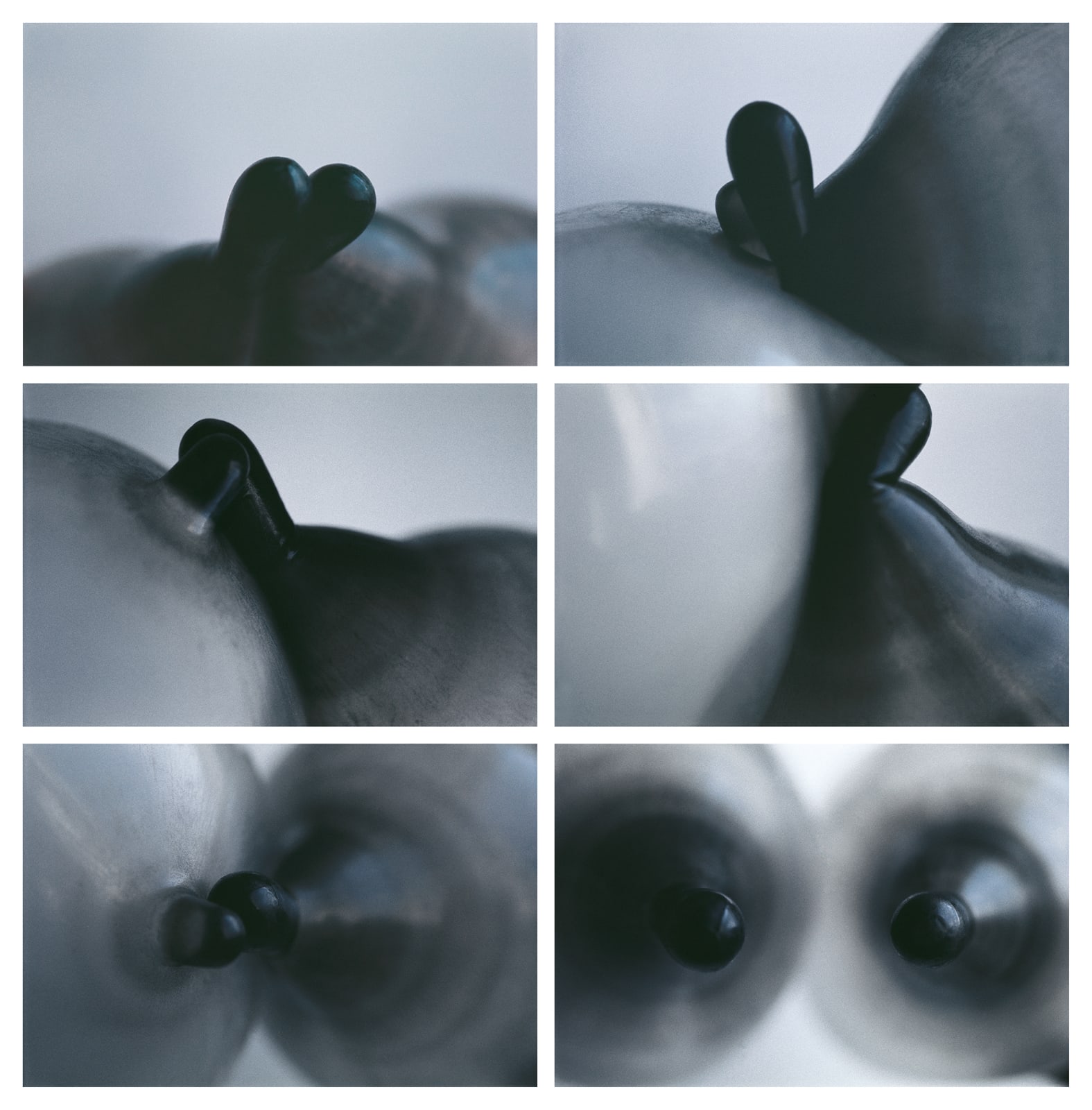 Renate BERTLMANN, Zärtliche Berührungen (Tender Touches), 1976/2017