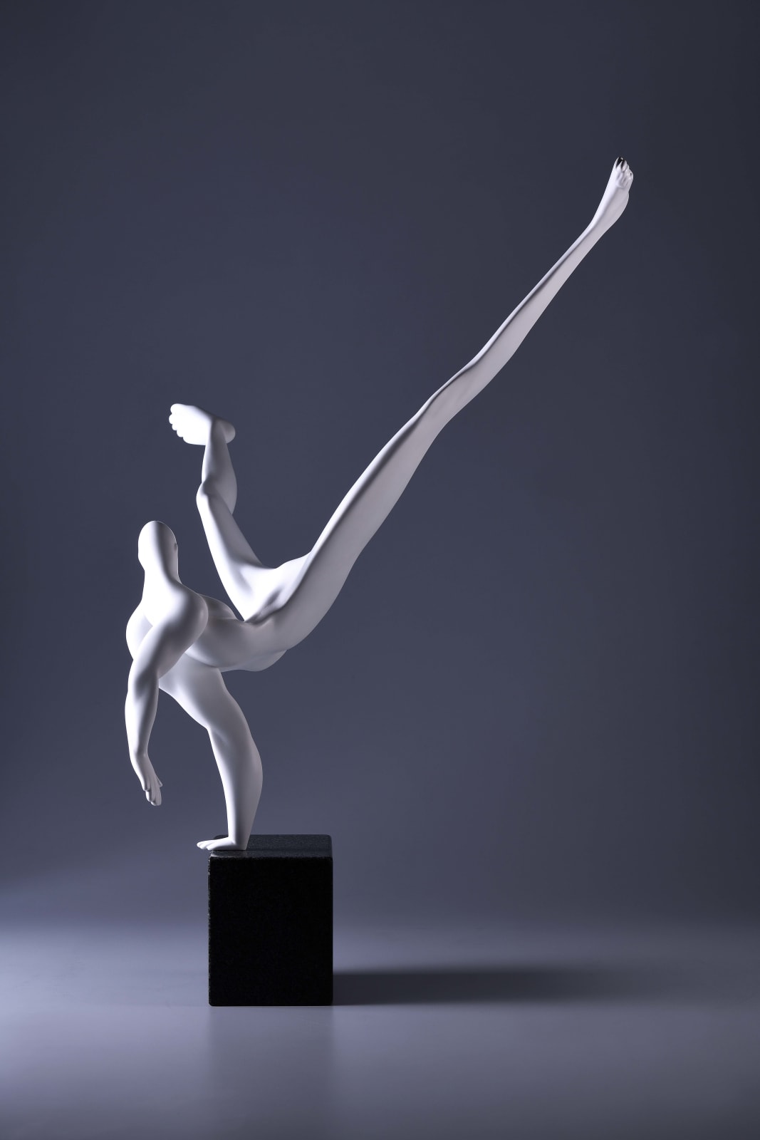 Xun Wang 王尋, Indomitable 頂天立地, 2019