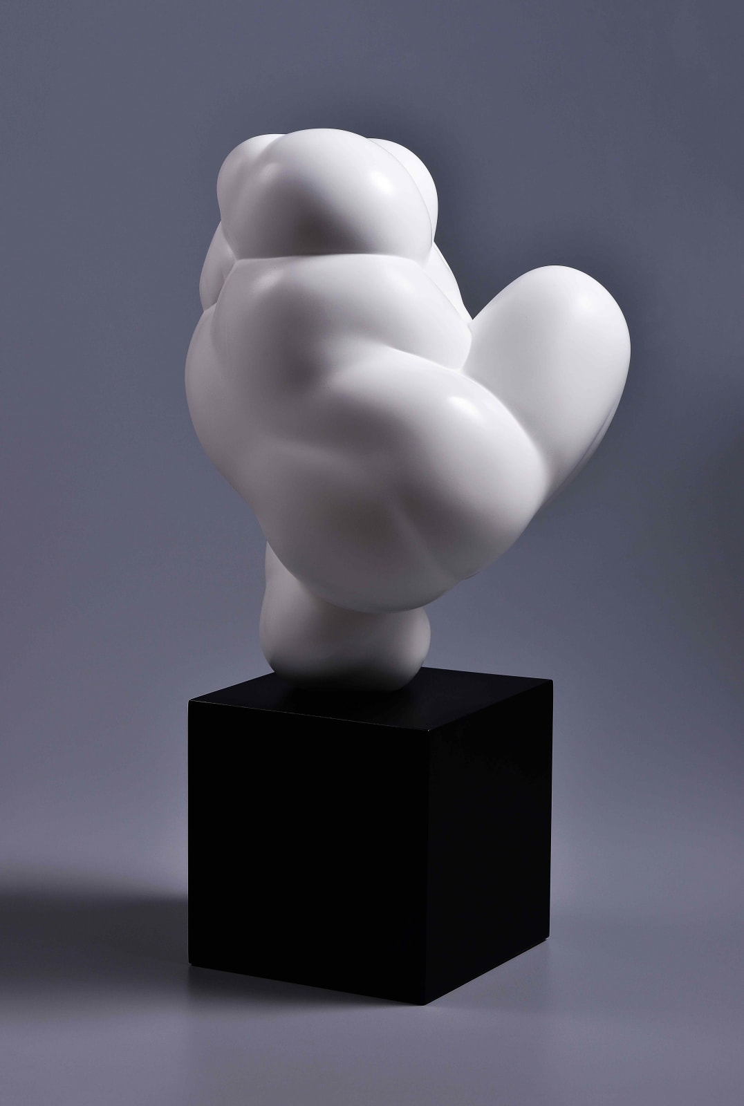 Xun Wang 王尋, Bashful 羞澀, 2024