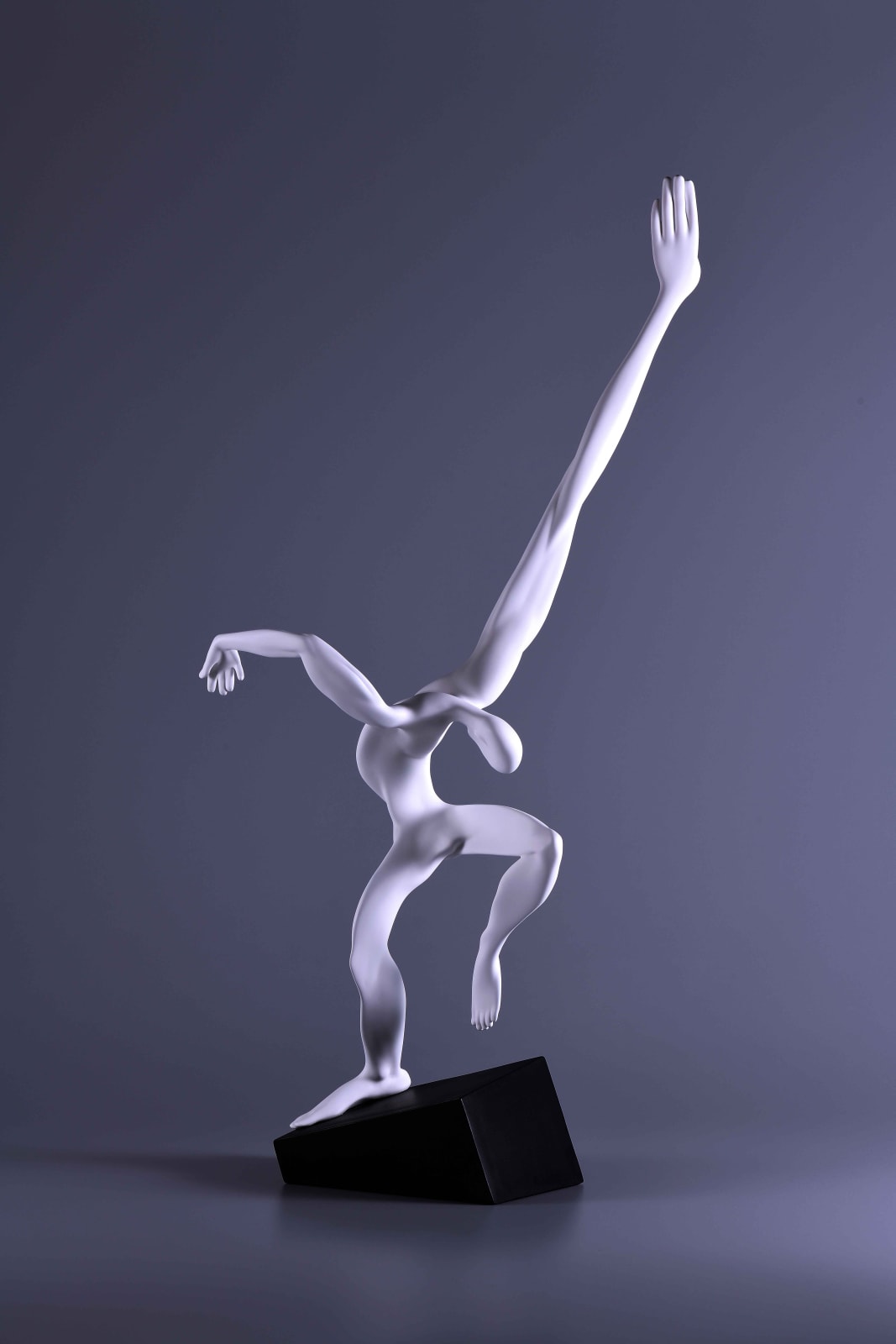 Xun Wang 王尋, Reach 觸及, 2021