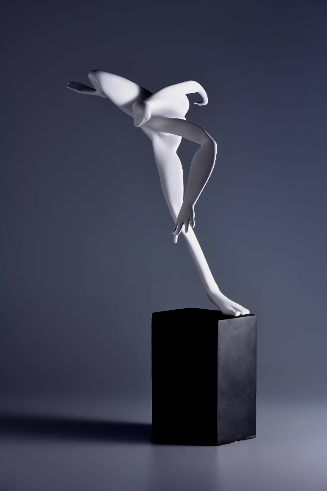 Xun Wang 王尋, Surpass 跨越, 2020