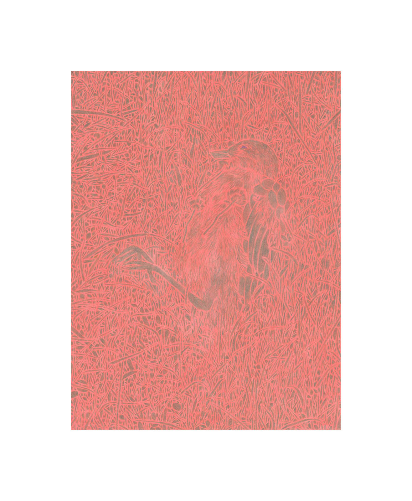 Timothy Bair, The Field Hummed Like an Open Wound, 2024