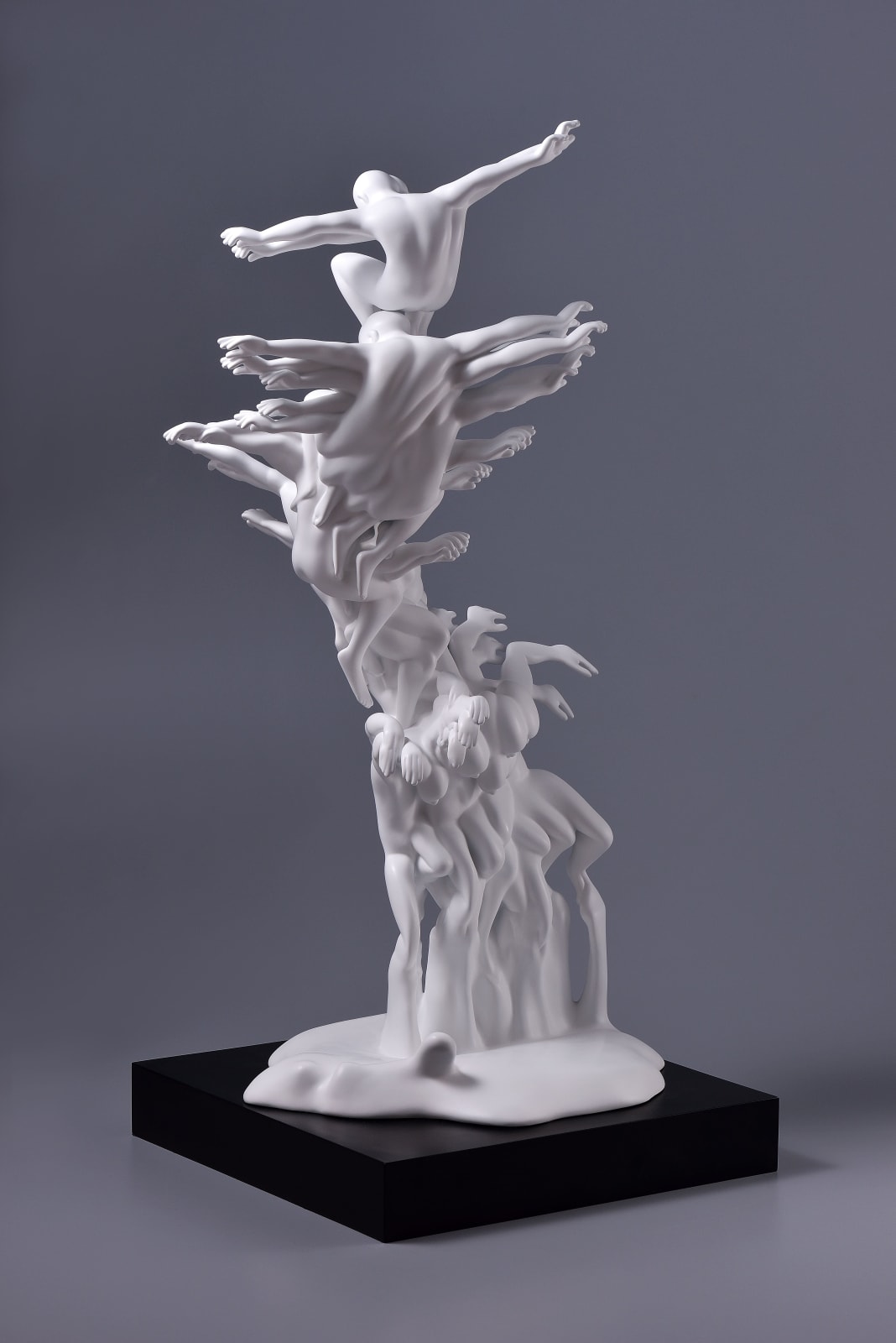 Xun Wang 王尋, Soaring 扶搖直上, 2024