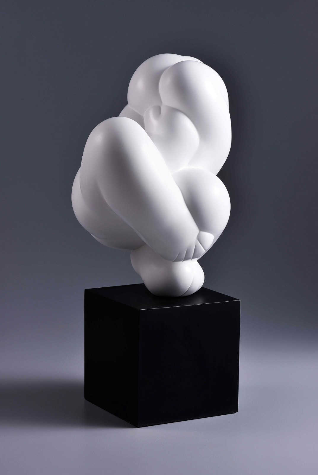 Xun Wang 王尋, Bashful 羞澀, 2024