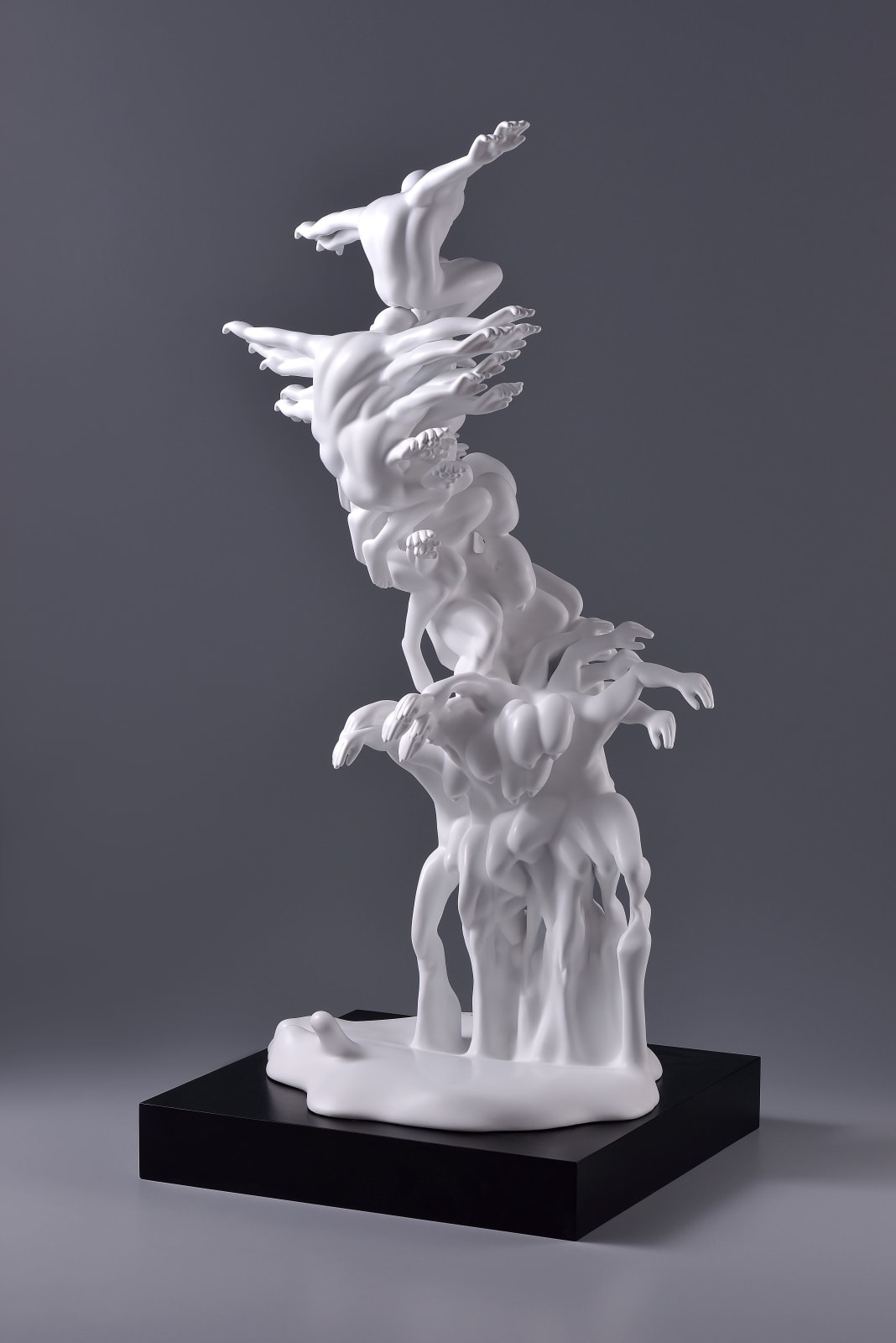 Xun Wang 王尋, Soaring 扶搖直上, 2024