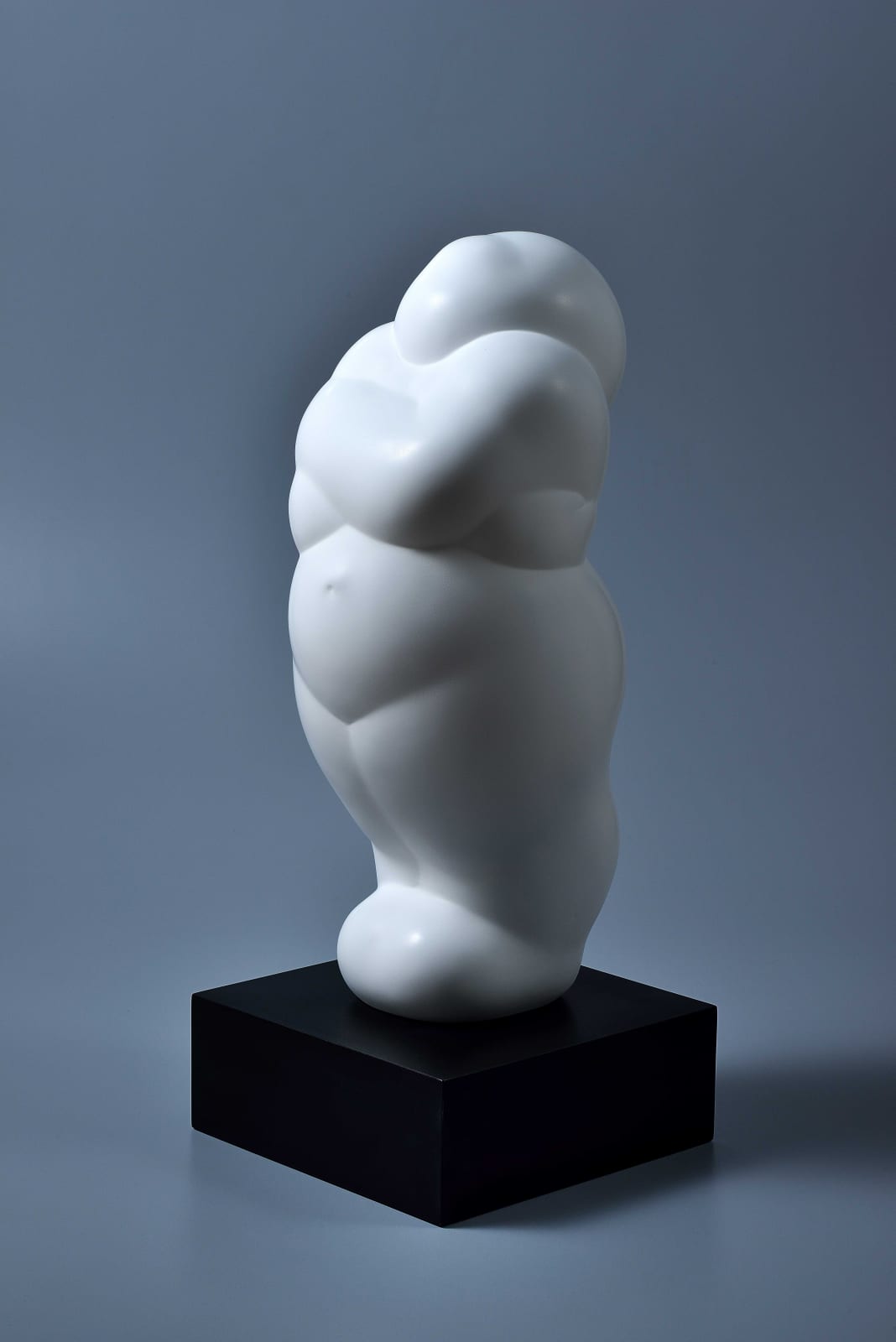Xun Wang 王尋, Fortune 福氣, 2022