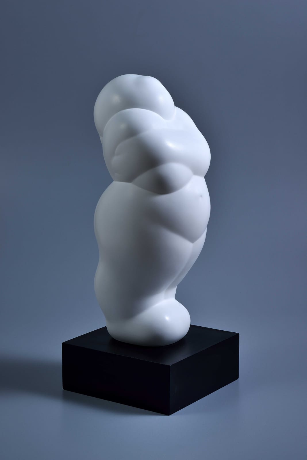 Xun Wang 王尋, Fortune 福氣, 2022