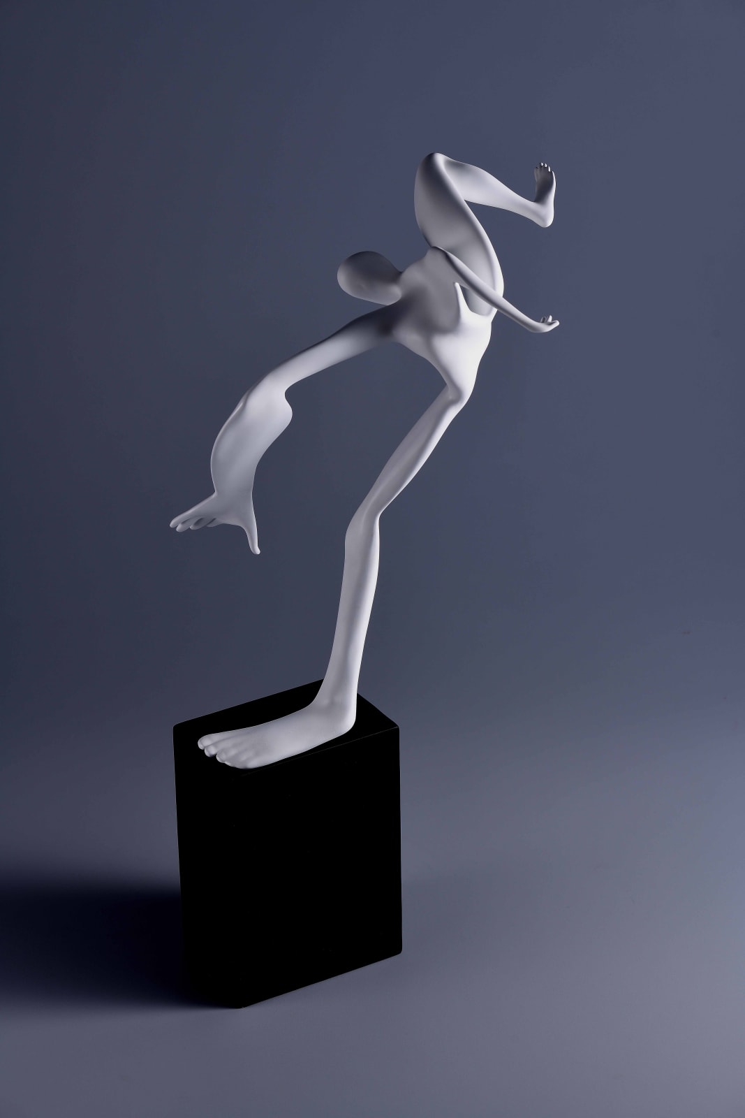 Xun Wang 王尋, Surpass 跨越, 2020