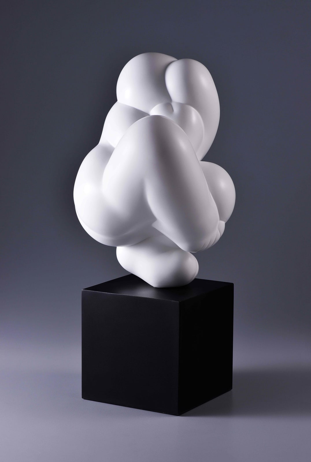 Xun Wang 王尋, Bashful 羞澀, 2024