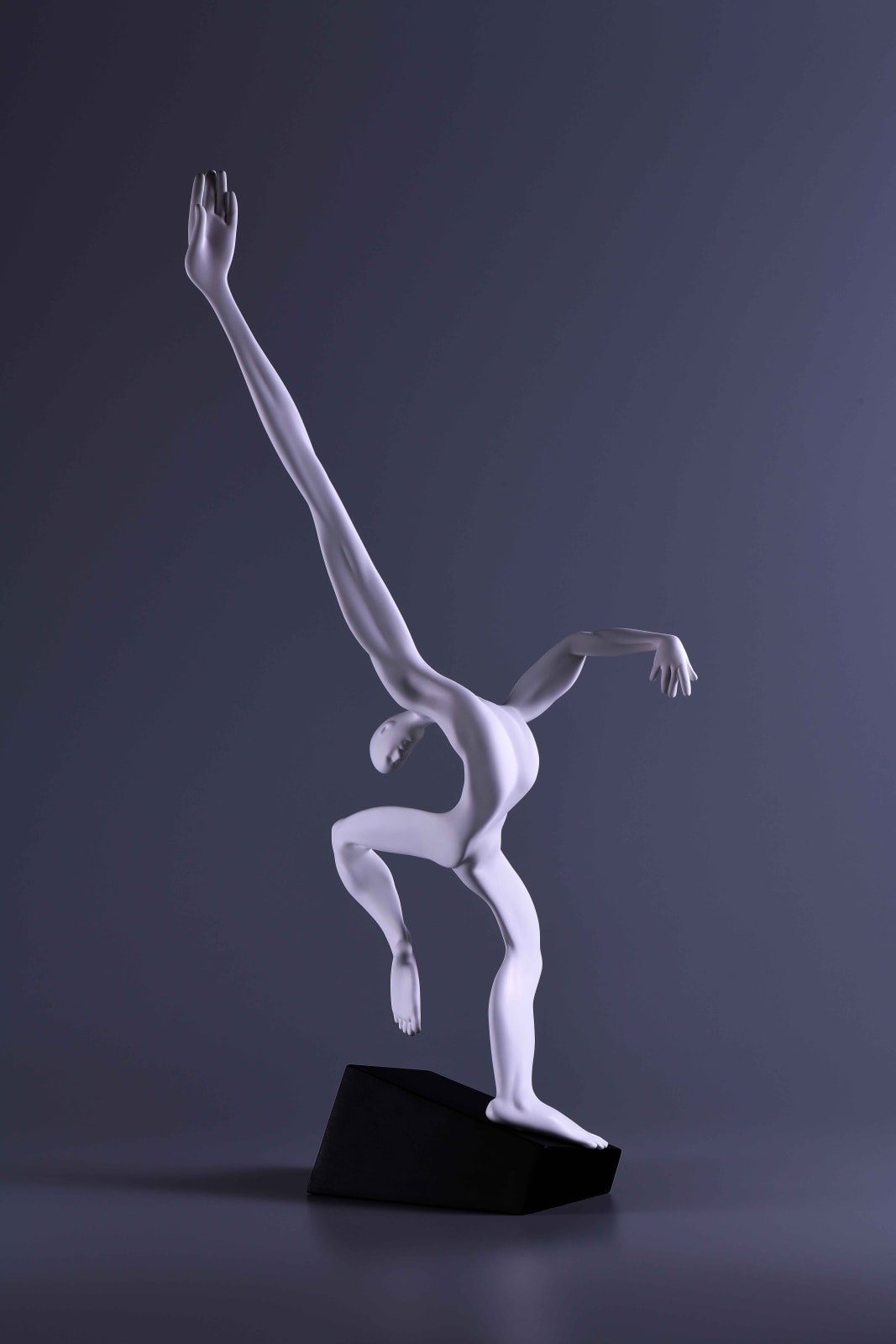 Xun Wang 王尋, Reach 觸及, 2021