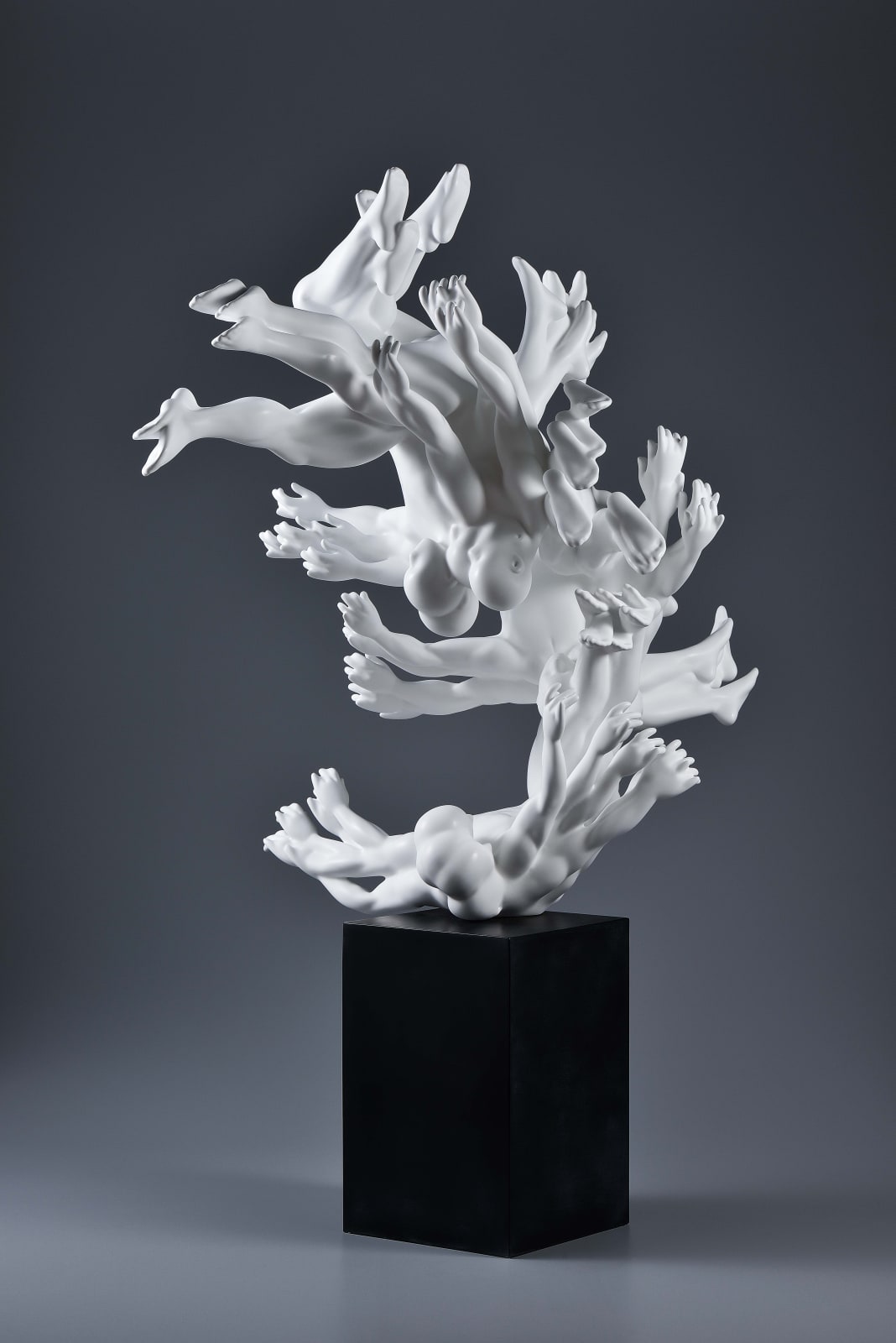 Xun Wang 王尋, Scissor Kick 倒掛金鉤, 2023