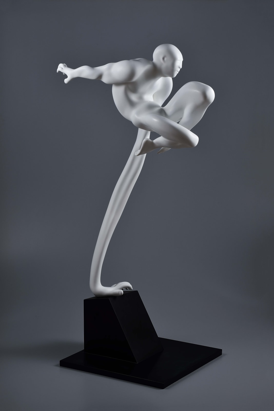 Xun Wang 王尋, Hover 懸停, 2023