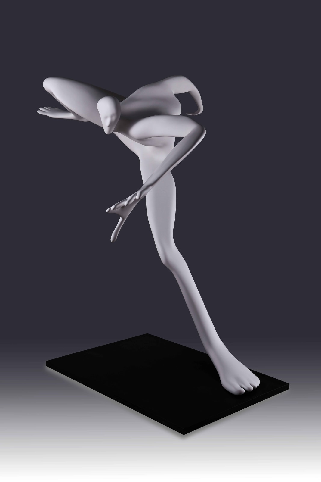 Xun Wang 王尋, Surpass 跨越, 2020