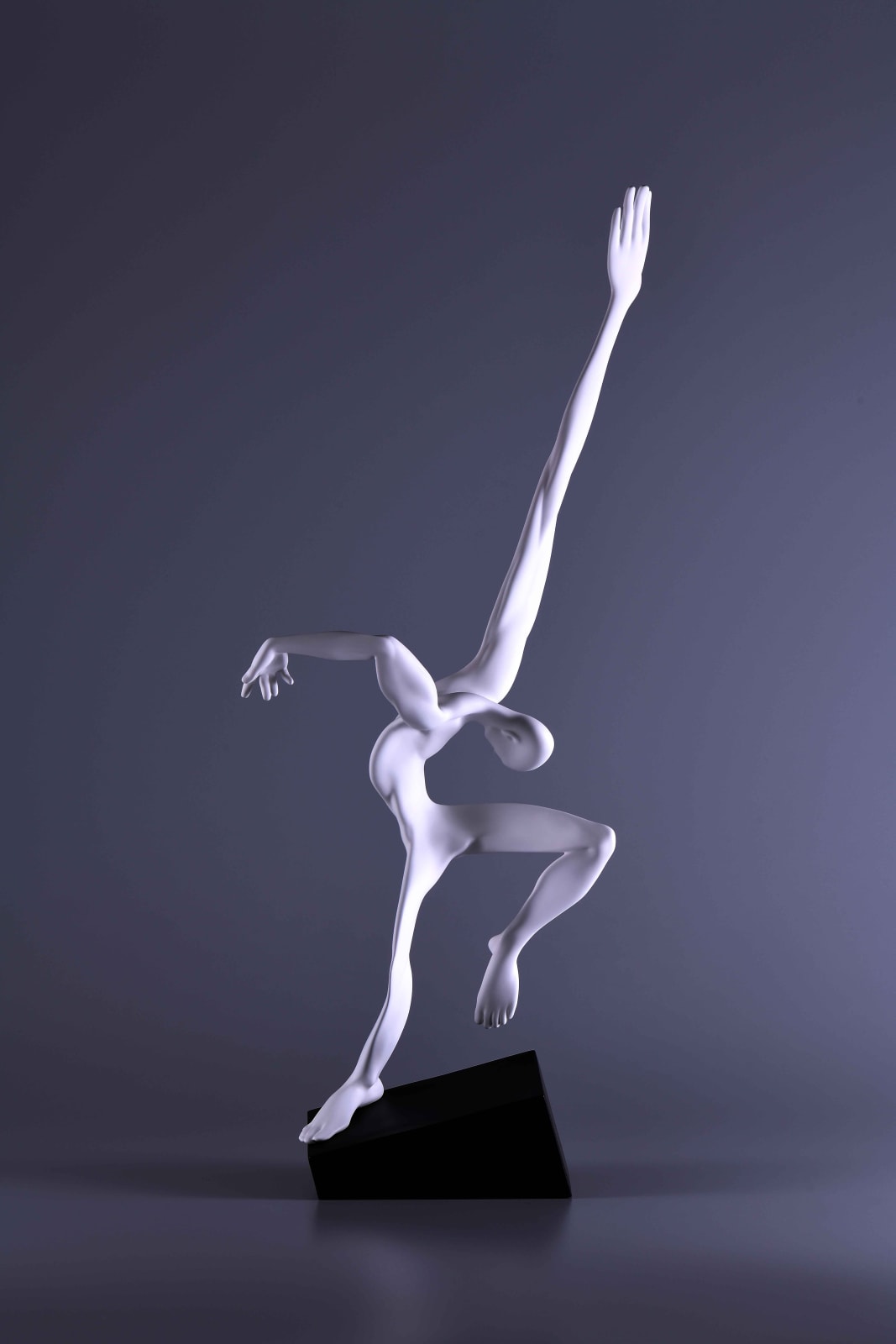 Xun Wang 王尋, Reach 觸及, 2021