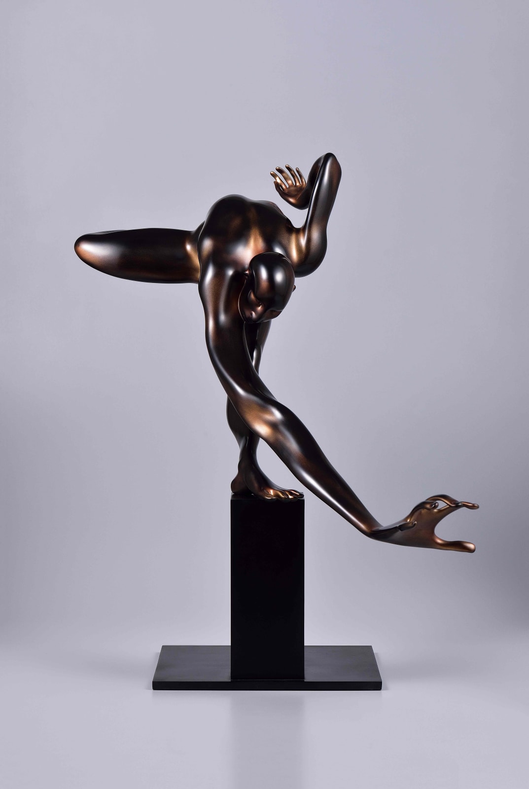 Xun Wang 王尋, Hunting 獵物, 2024