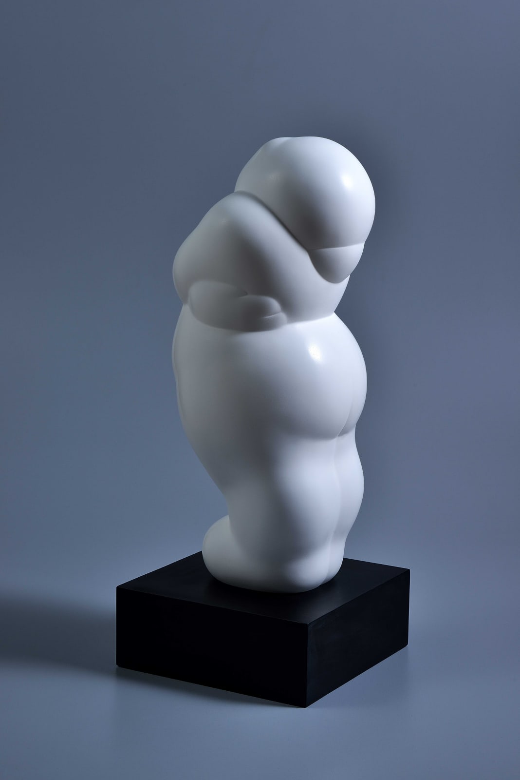 Xun Wang 王尋, Fortune 福氣, 2022