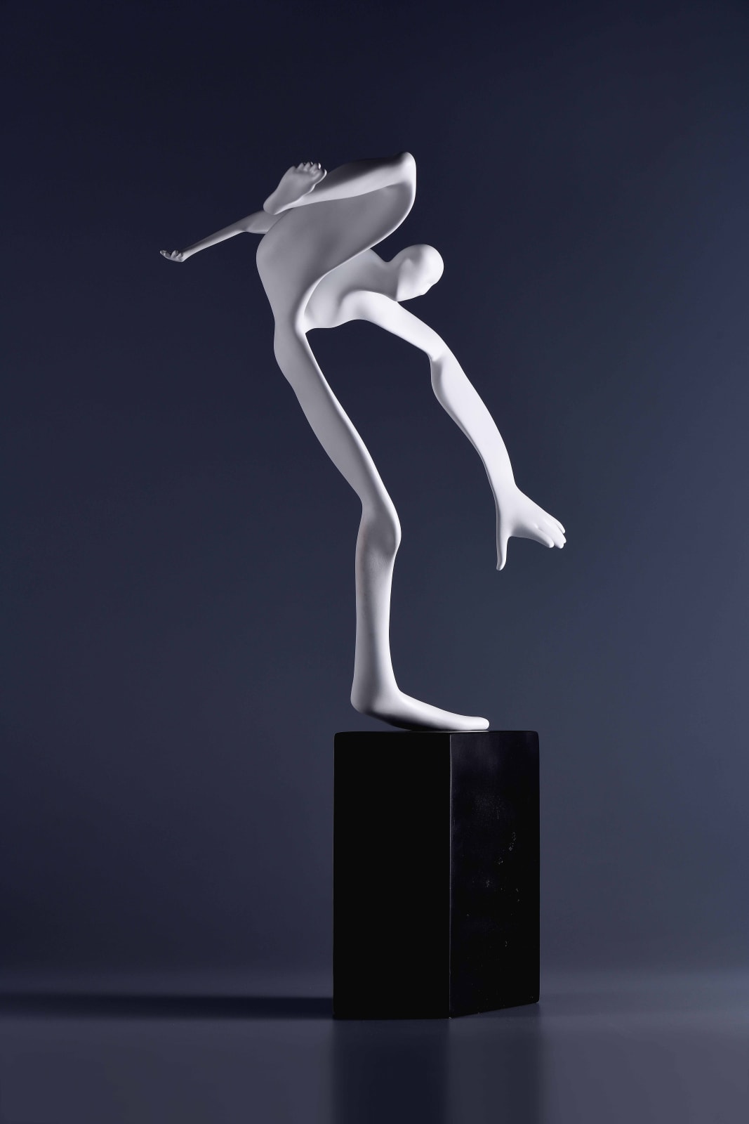 Xun Wang 王尋, Surpass 跨越, 2020