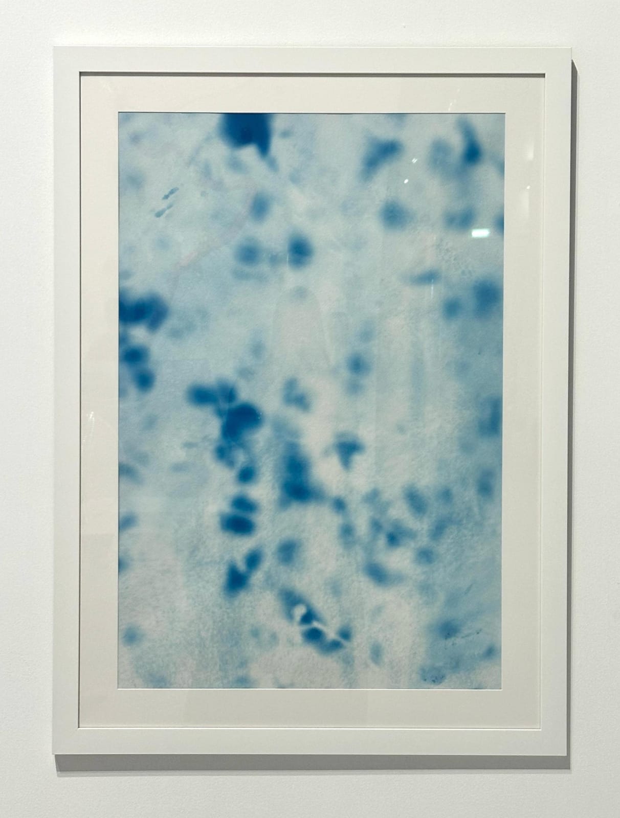 Maitha Al Omaira, Do trees become fluid in the wind? II (series), 2024