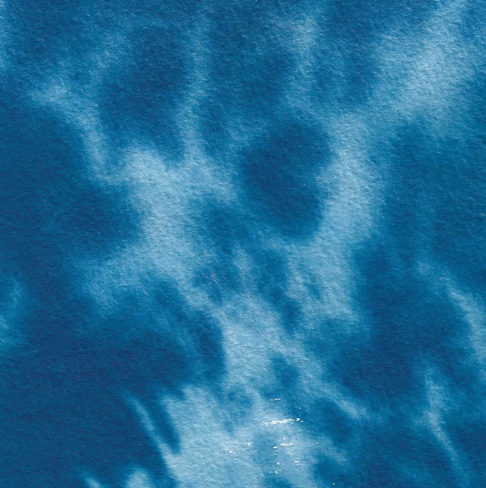 Maitha Al Omaira, Do trees become fluid in the wind? ,Edition of 4, 2024