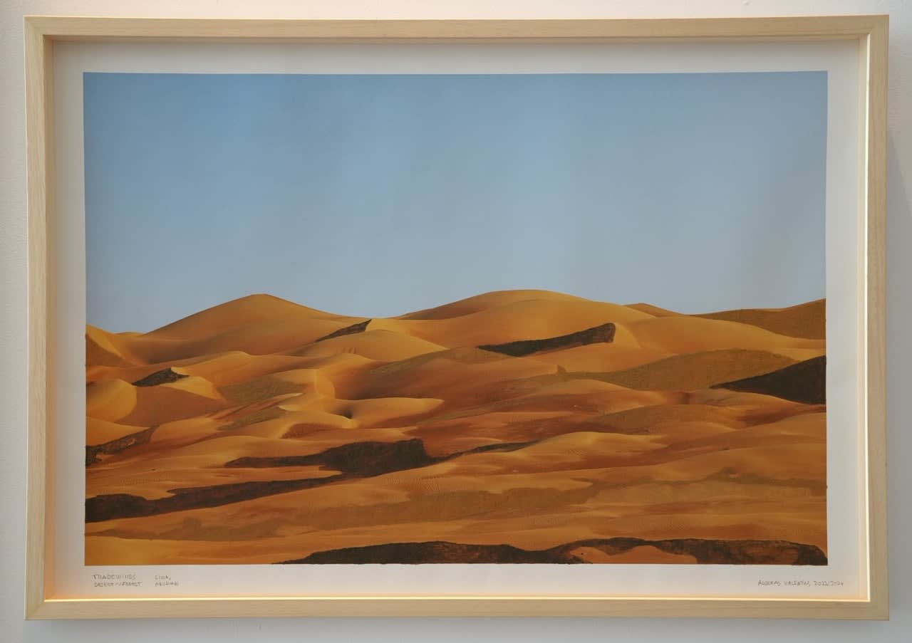 Andreas Valentin, Tradewinds: Desert‹-›Forest, 2023/2025