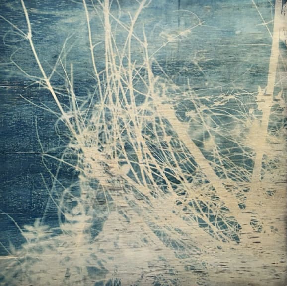 Maitha Al Omaira, Traces of Sunlight , Edition of 4, 2024
