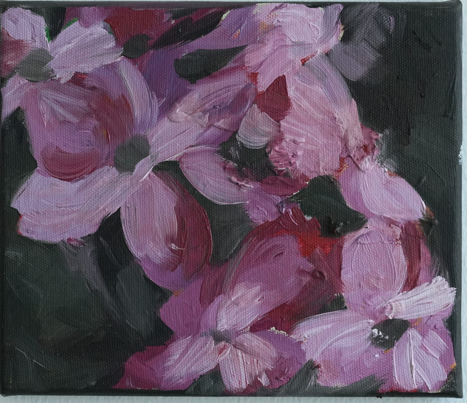 Zahra Shafie, Untitled From “Infertile Fields” Series,, 2018