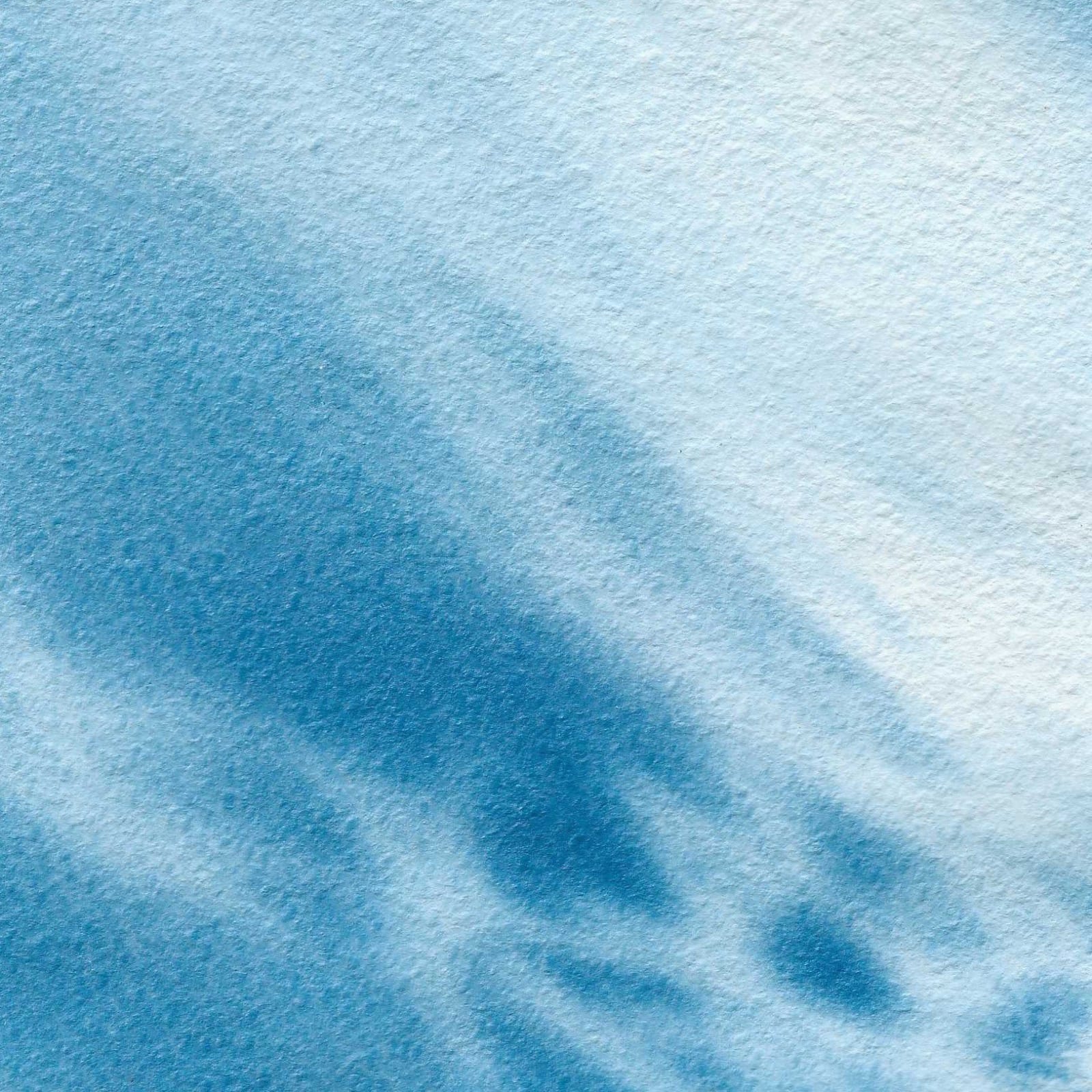 Maitha Al Omaira, Do trees become fluid in the wind?, Edition of 4, 2024