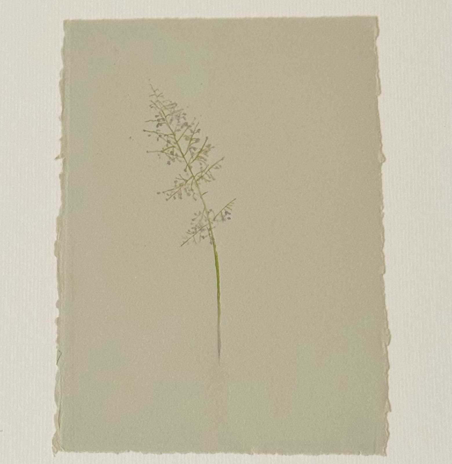 Reem Al Mubarak, Sway, 2024