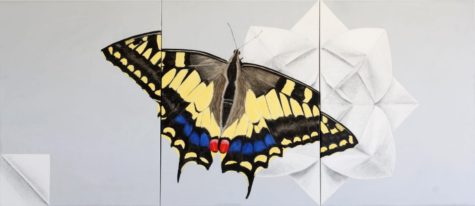 Adrian Scicluna, Swallowtail, 2018
