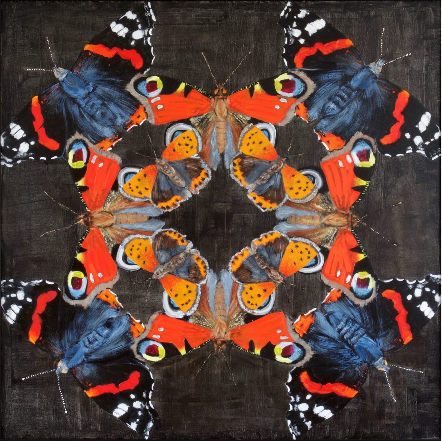 Adrian Scicluna, Red Admiral, Peacock, Small Copper, 2019