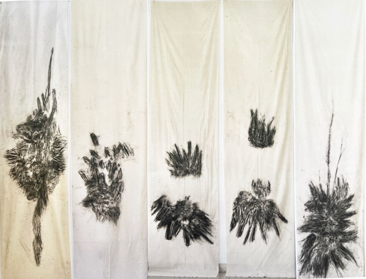 Kim Robertson, Tracing the Elementals, 2023-2025