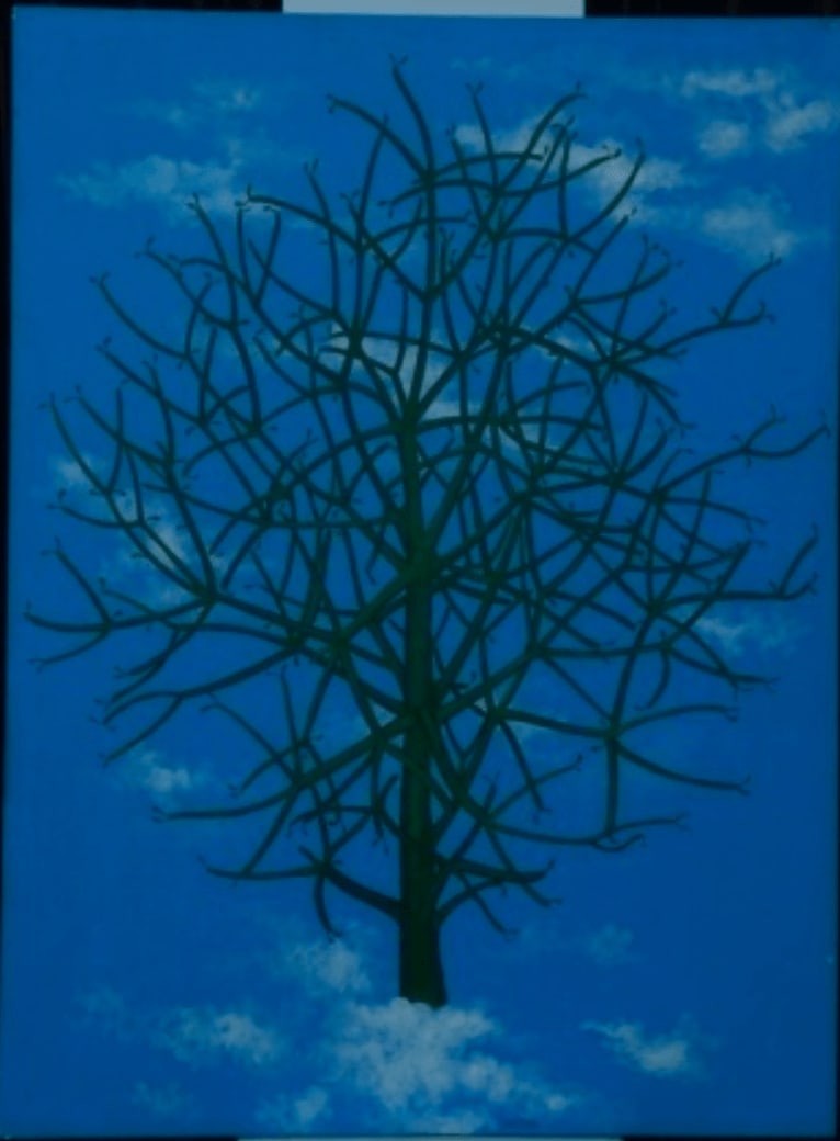 Santhikumari EN, Untitled