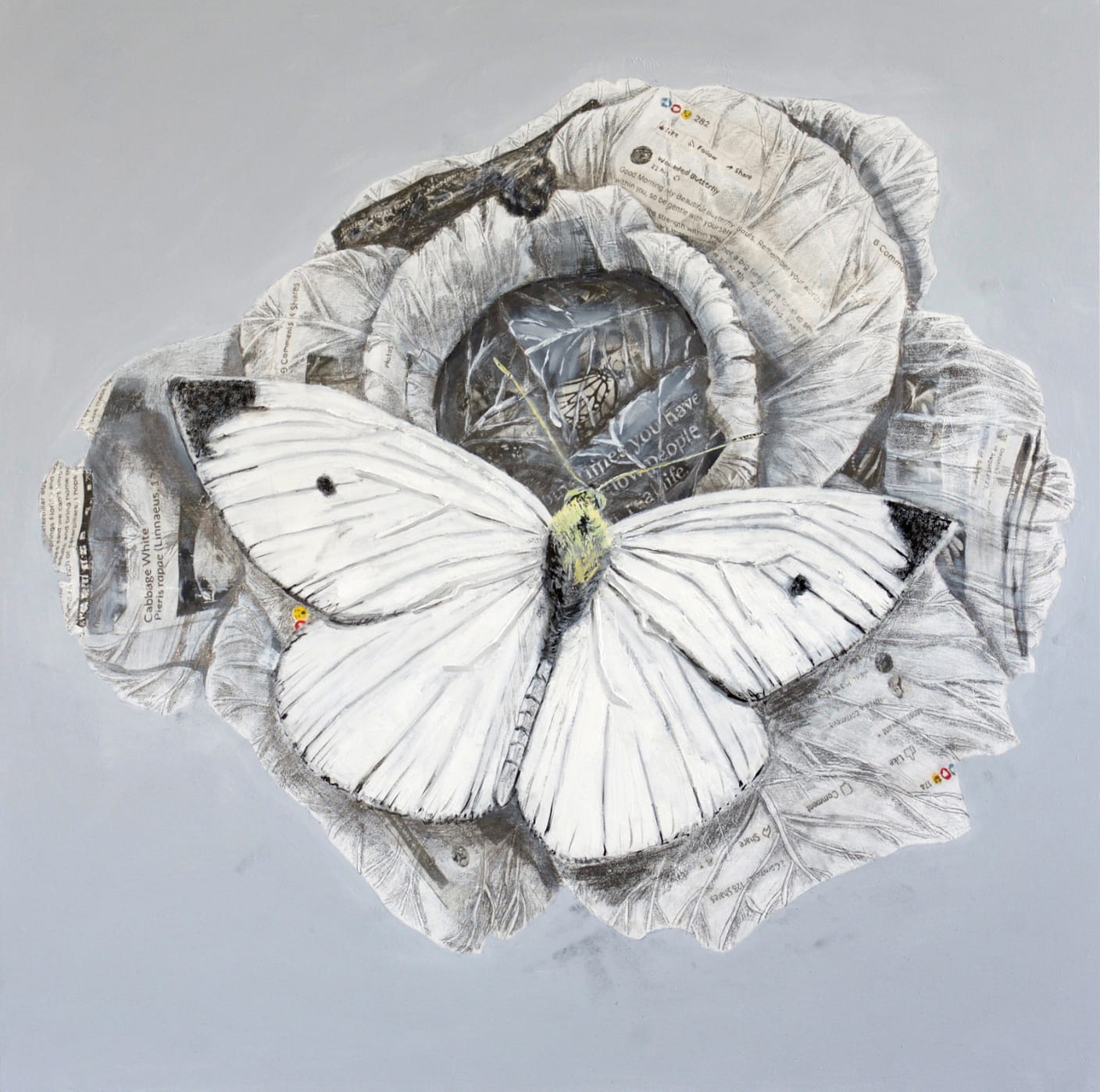 Adrian Scicluna, Cabbage White, 2018