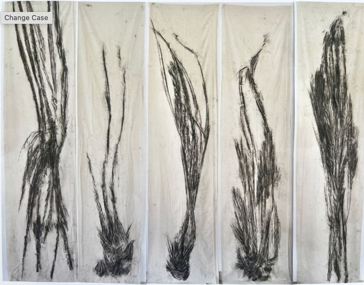 Kim Robertson, Tracing the Elementals, 2023-2025