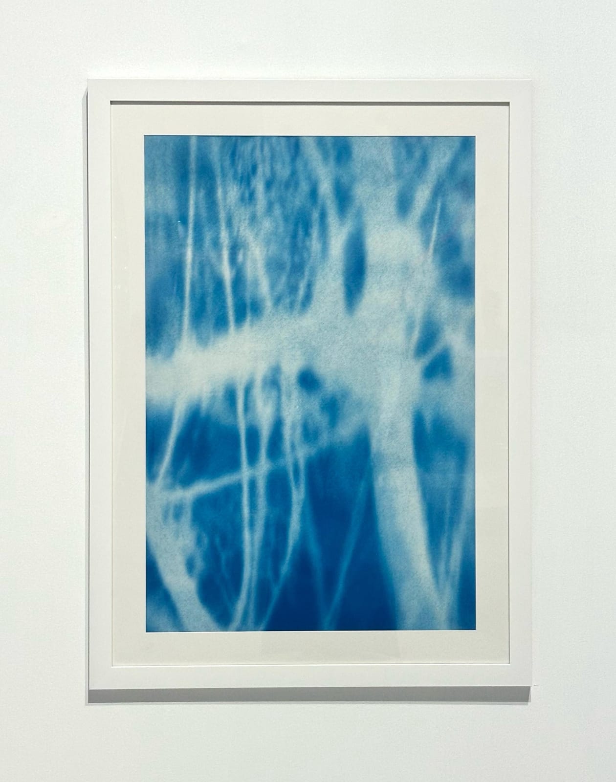 Maitha Al Omaira, Do trees become fluid in the wind? I (series), 2024