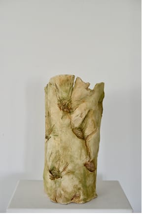 Kim Robertson, Imprints of Absence, 2025