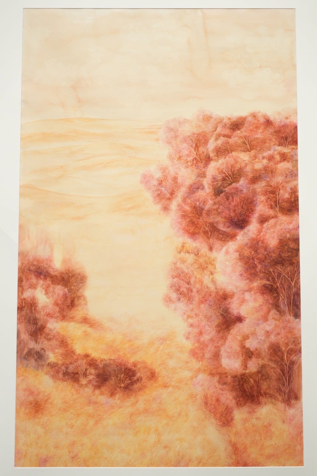 Anupama Alias, Foreign Place III, 2024