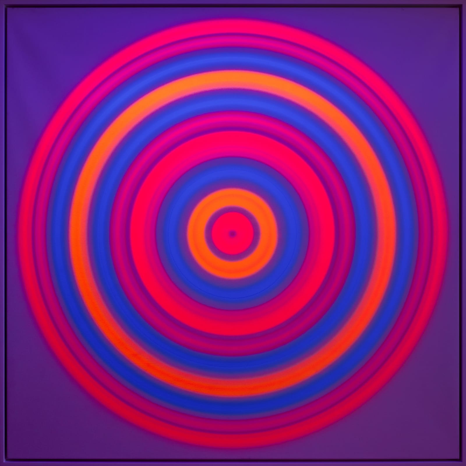 Rob and Nick Carter, Large Spectrum Circle, Fluorescent Paint I, 2025