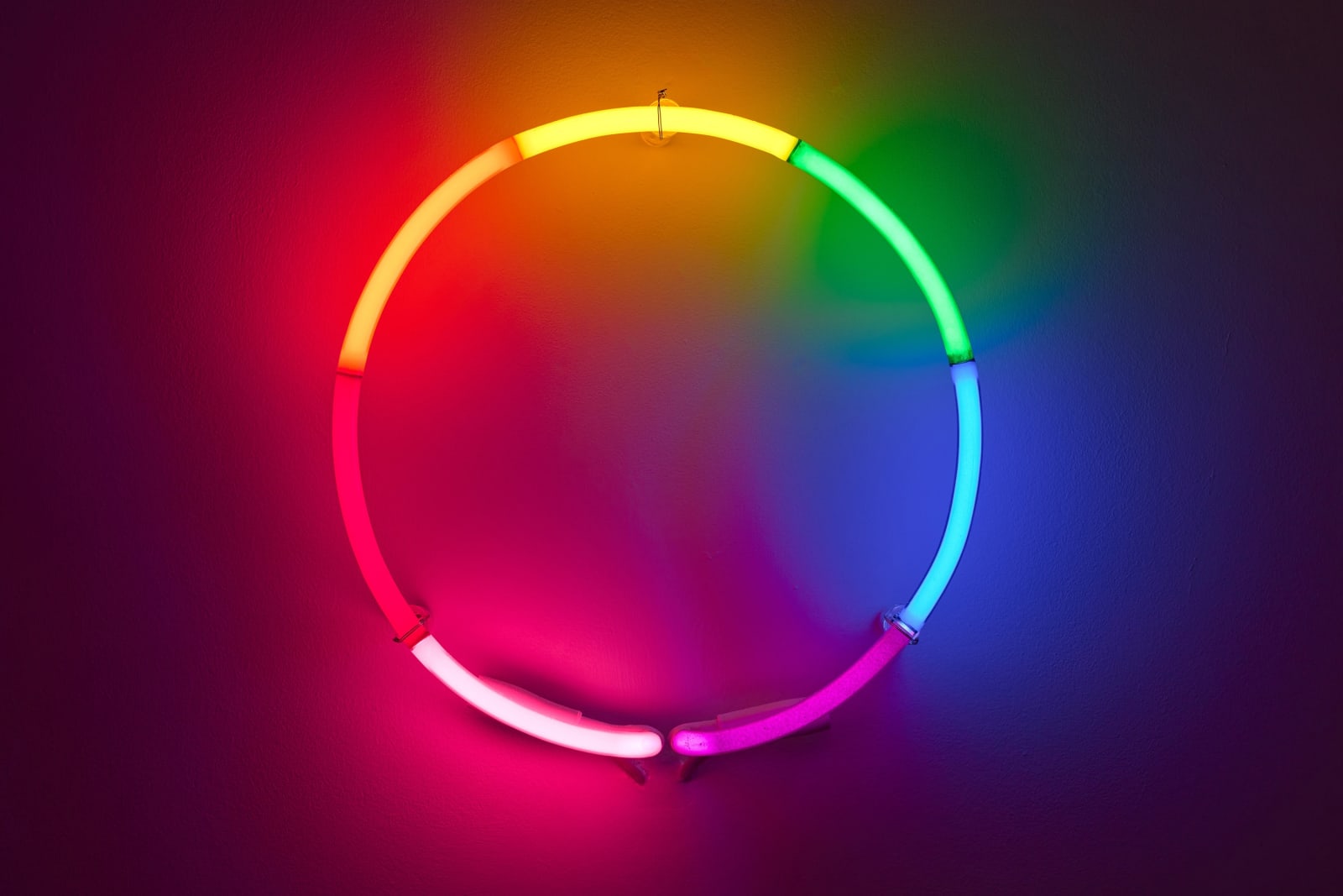 Rob and Nick Carter, Spectrum Neon Circle, 2021