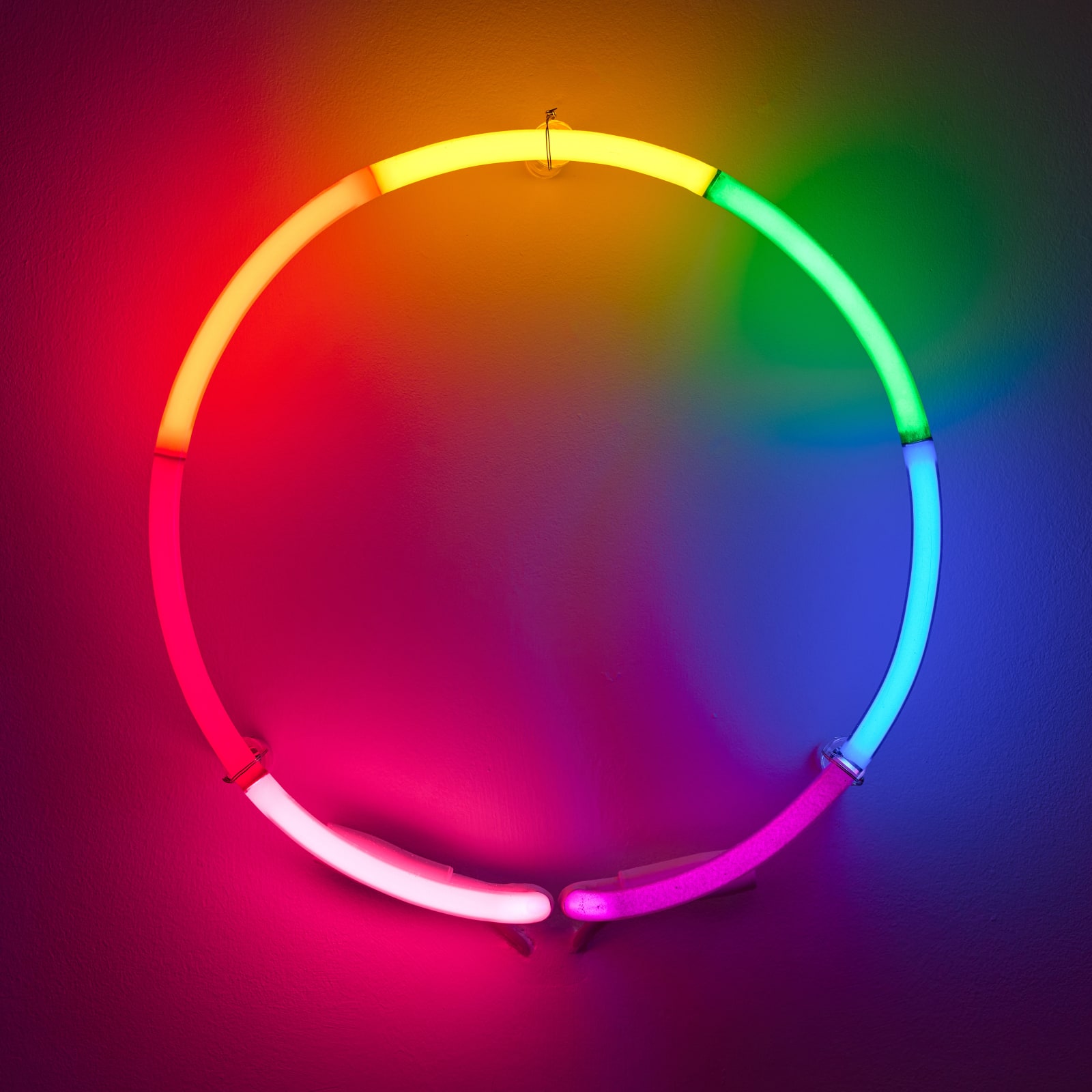 Rob and Nick Carter, Spectrum Neon Circle, 2021