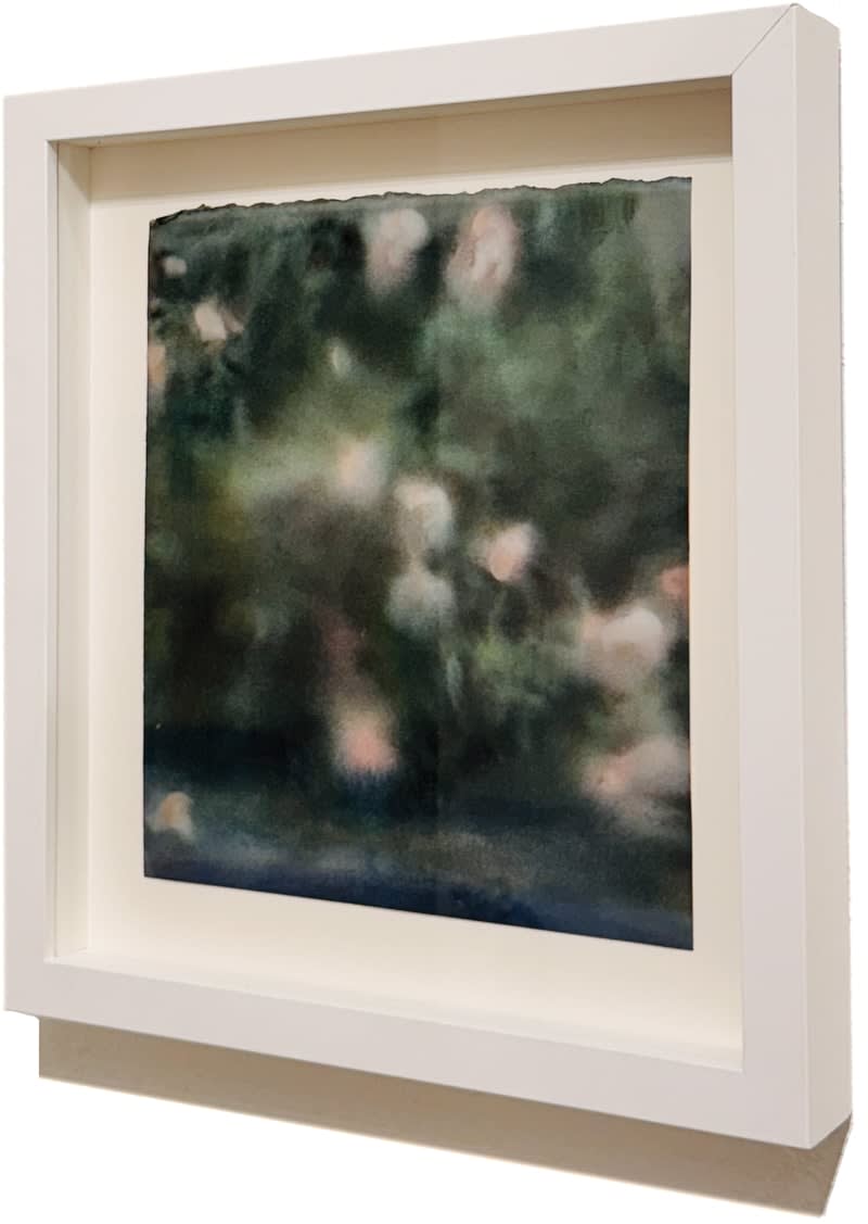 Ashley Oubre, Untitled (flowers), 2023