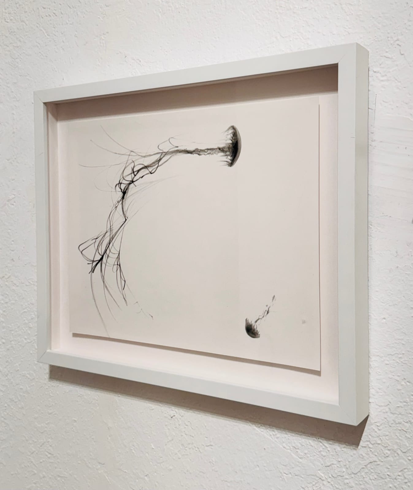 Ashley Oubre, Untitled 3 (Jellyfish),, 2017