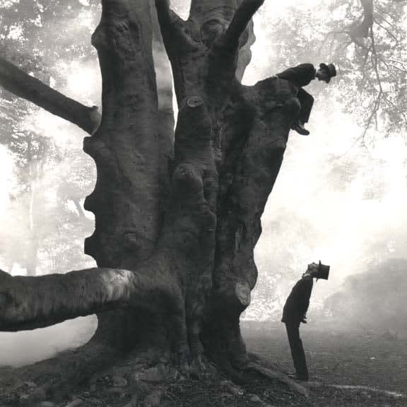 Rodney Smith, Twins in tree, Snedens Landing, NYBLO-0999-020-08, 1999