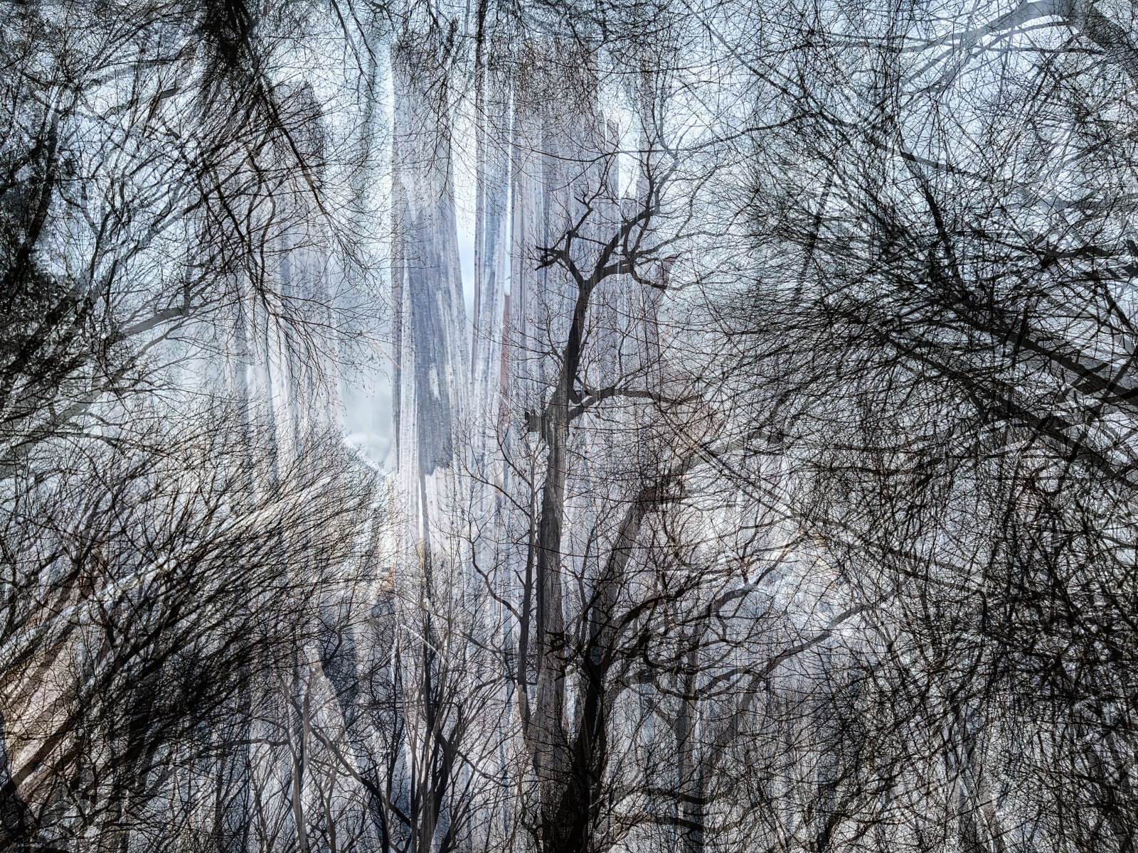 Stephen Wilkes, Winter #2 Abstract Trees