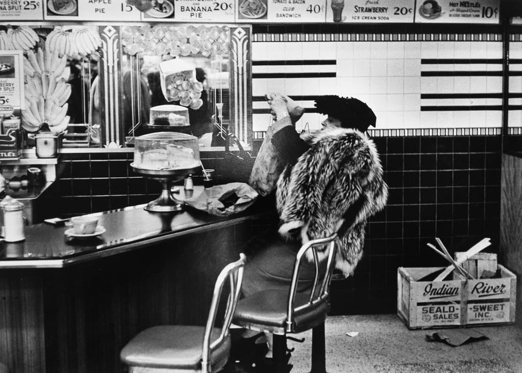 William Klein, Silver Fox in Gourmet Corner, 5 & 10, New York, 1955