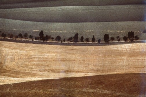 Franco Fontana, Landscape, 1978