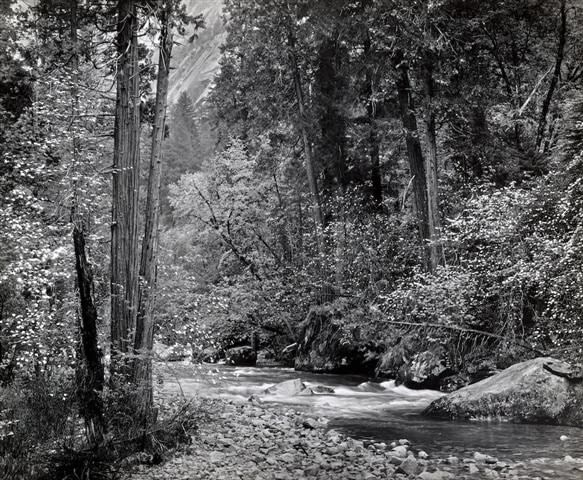 Ansel Adams, Tenaya Creek, Spring Rain, Yosemite National Park, 1948