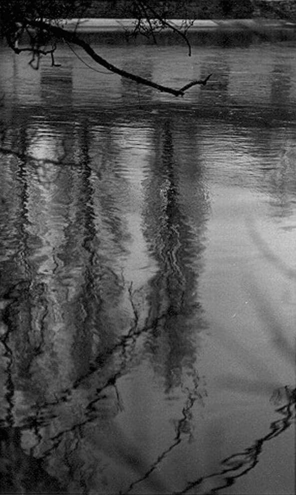 Tomio Seike, WS Waterscape #3 Reflection