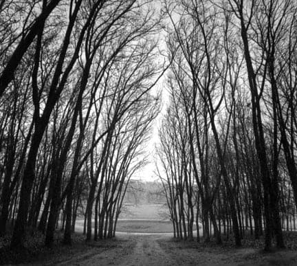 Michael Kenna, Circle in Trees, Marly, France, 1995
