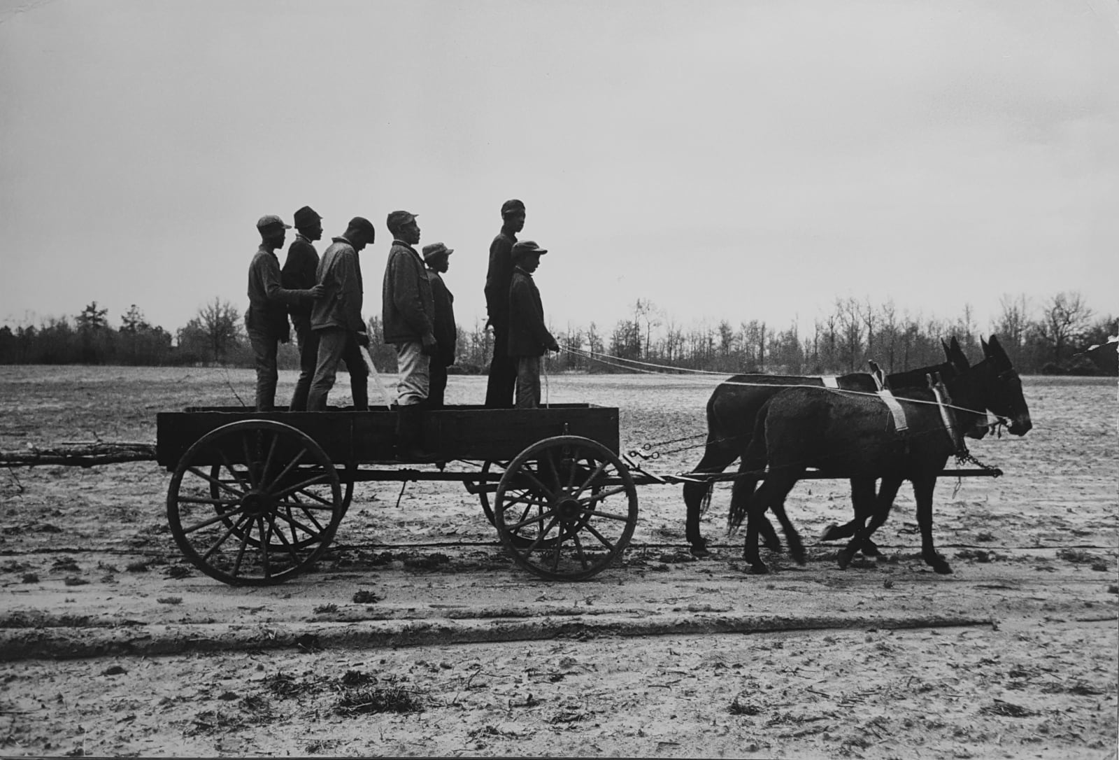 Constantine Manos, Untitled, Sharecroppers, South Carolina (7 men standing in a wagon), 1965